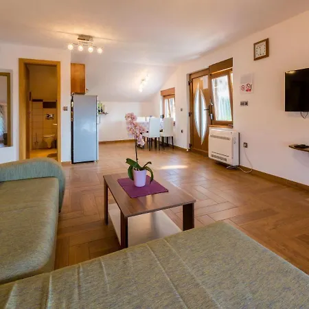 Apartment Sobol *