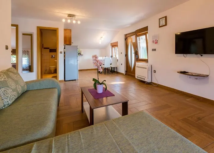 Apartament Sobol *